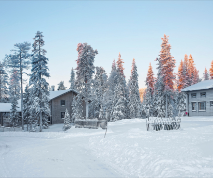 Ruka
