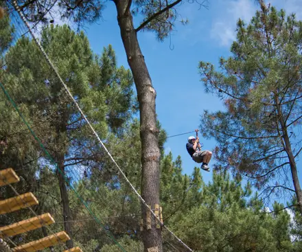 Zip Wire